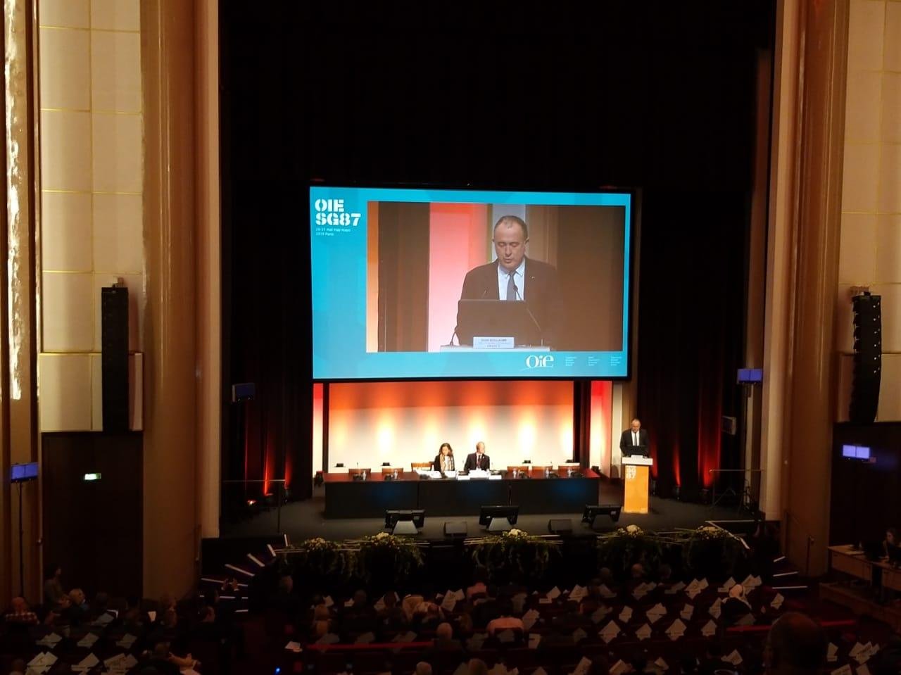 May 23 to 27 – General Assembly of the World Organization for Animal Health – OIE