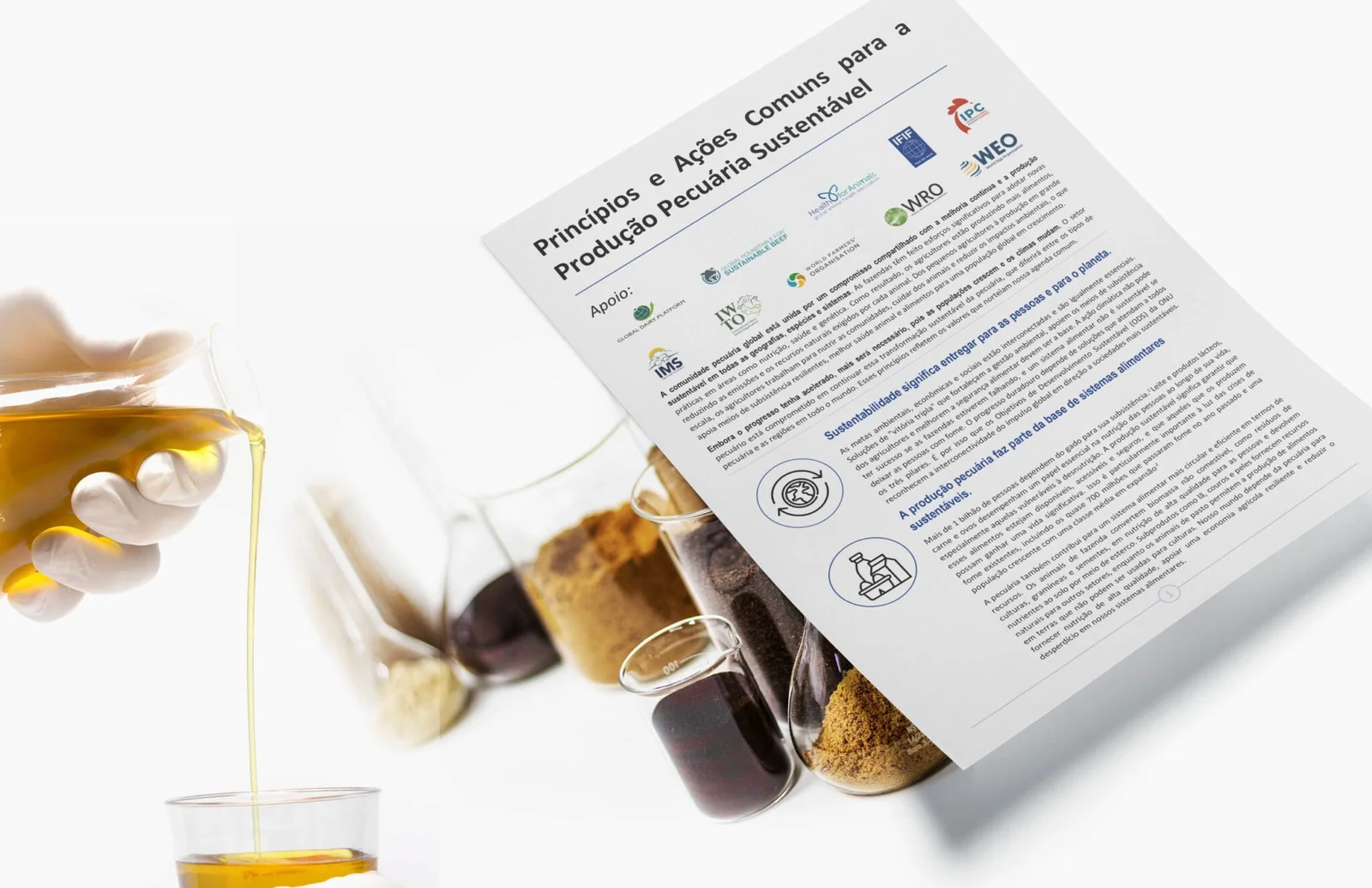 Animal Rendering is Recognized in a Global Livestock Sustainability Document